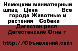 Немецкий миниатюрный шпиц › Цена ­ 60 000 - Все города Животные и растения » Собаки   . Дагестан респ.,Дагестанские Огни г.